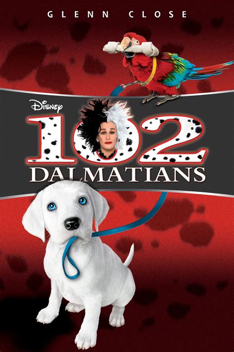 Are Dalmatians Violent