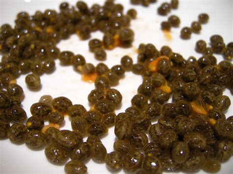 papaya seeds - Theayurveda