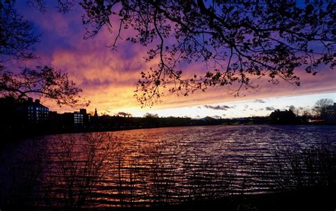 Sunset on the Charles River | Smithsonian Photo Contest | Smithsonian ...