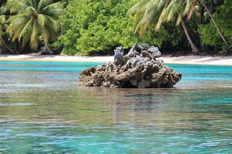 Coral Reef Atoll, Marshall Islands, Coral Reef, Pacific, Coastline ...