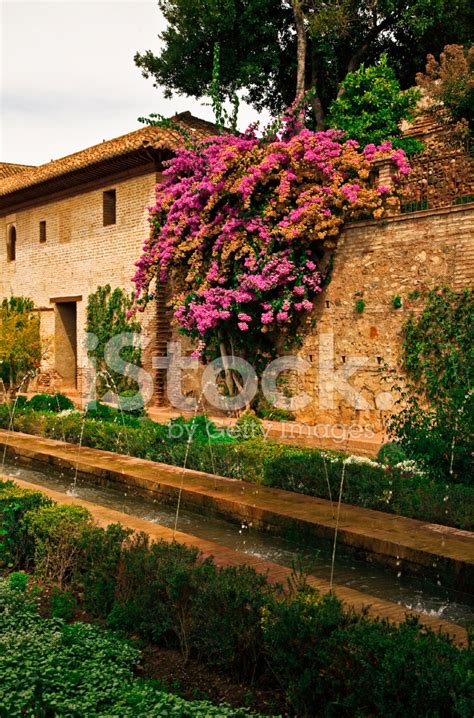 Alhambra Gardens Stock Photo | Royalty-Free | FreeImages