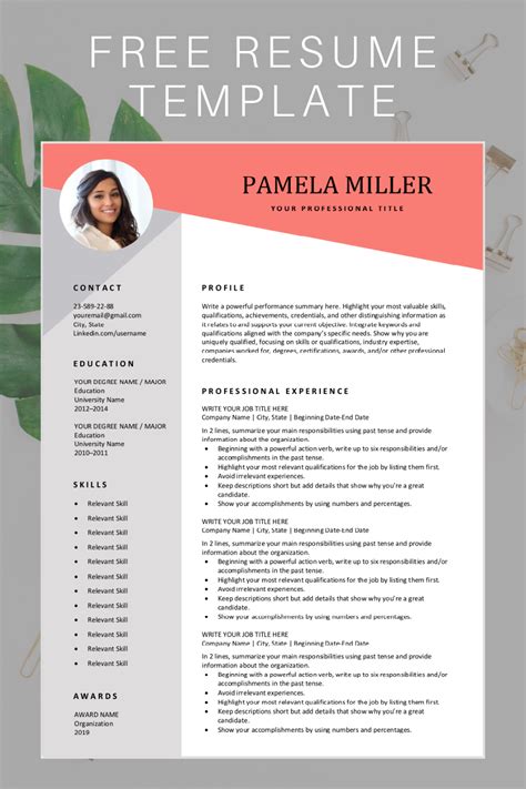 Editable Resume Template Free Download