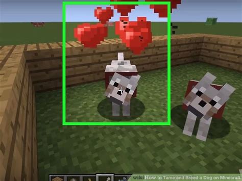 How to Tame and Breed a Dog on Minecraft: 5 Steps (with Pictures)