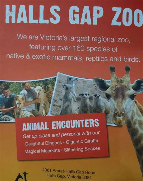 Halls Gap Zoo - Ticket Prices, Animals, Map & Opening Hours Grampians