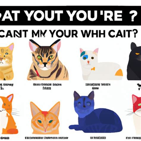 What Cat Are You Quiz: Analyzing Your Cat Personality and Finding the Right Match - The ...