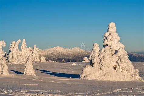 Evening from Vidlica Peak in Mala Fatra during Winter Stock Photo - Image of winter, covered ...