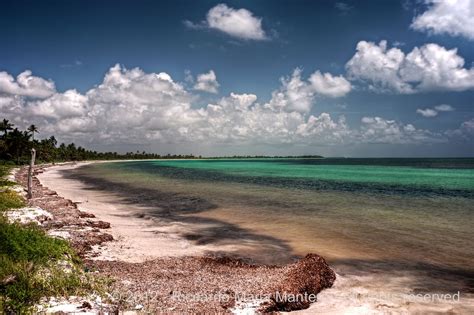 Punta Allen Coastline HDR | A panoramic view of a wild beach… | Flickr