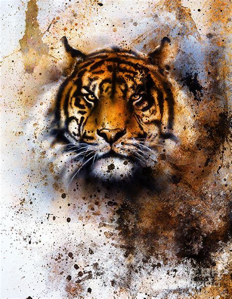 Tiger Collage On Color Abstract Photograph by Jozef Klopacka