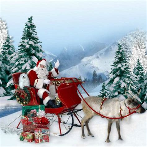 the sleigh ride | Christmas scenes, Christmas magic, Christmas pictures