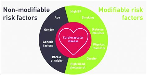 Medicina y Melodía: El riesgo cardiovascular