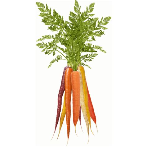 Cal-Organic Farms Rainbow Carrot Chips 12 oz | Organic Vegetables | Festival Foods Shopping