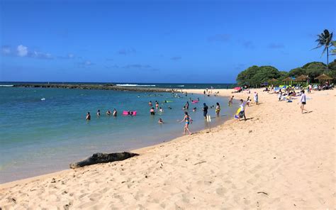 Turtle Bay Resort Beach Cottages on Oahu, Hawaii review - Turning left ...