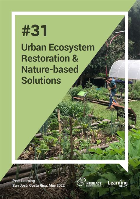 Urban Ecosystem Restoration & Nature-based Solutions | Ecologic Institute