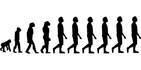 Evolution Charles Darwin Man · Free vector graphic on Pixabay