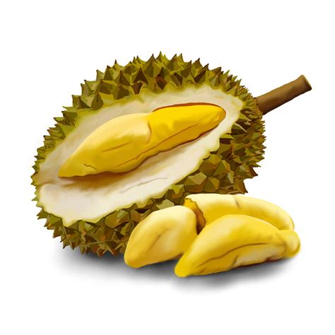 Gambar Buah Durian Animasi - Gambar Buah Buahan