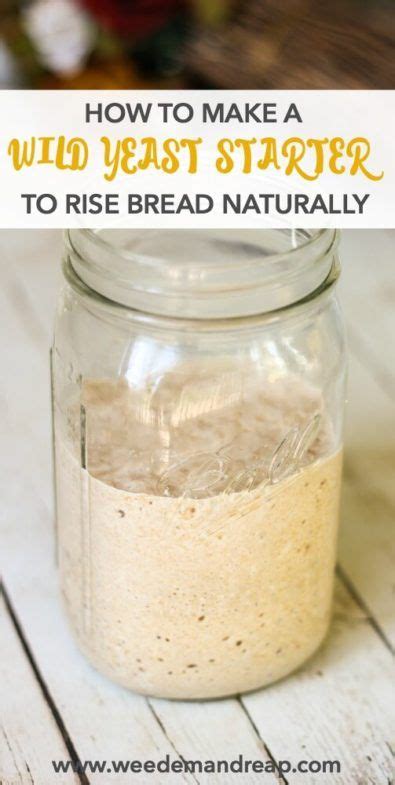 How to make a Wild Yeast Starter {To Rise Bread Naturally} | Recipe | Yeast starter, Wild yeast ...