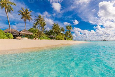 Tranquil beach scene. Sunny exotic tropical landscape wallpaper. Design ...