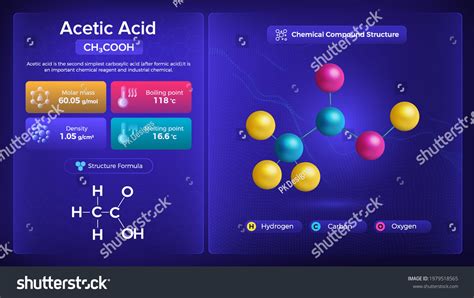 Acetic Acid Properties and Chemical Compound - Royalty Free Stock Vector 1979518565 - Avopix.com