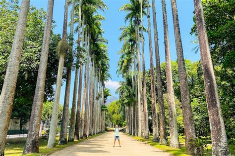 Rio de Janeiro Botanical Garden Walk - Make Adventure Happen