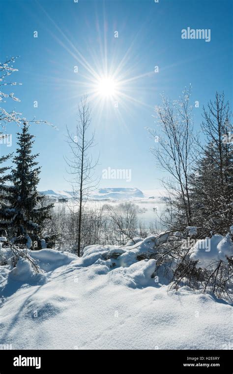 Winter landscape at Lake Mývatn, North Iceland, Iceland Stock Photo - Alamy