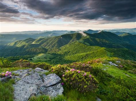 Appalachian Highlands and Coastal Plains — lesson. Social Science, Class 7.