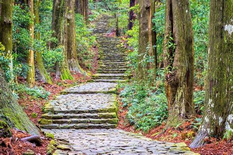 Kumano Kodo Pilgrimage Routes, Kii Hanto | National parks, Japan travel ...