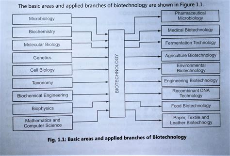 Branches of Biotechnology - BIOLOGY EASE