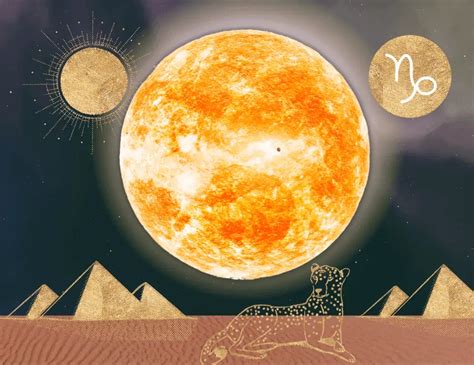 What the Sun in Capricorn/the 10th House Reveals about Your Chart | Astrostyle: Astrology and ...