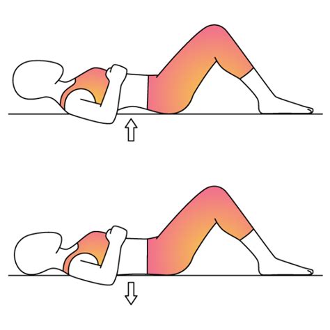 Pelvic Bridge Vs. Pelvic Tilt - North Shore Pro-Active Health