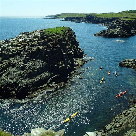 Newfoundland - Trinity Bay - Black Feather