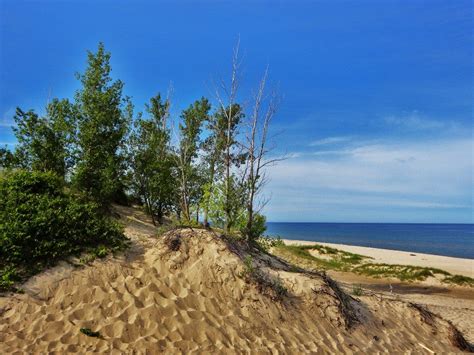 Lake Michigan Sand Dunes by Kathleen Mendel | Lake michigan sand dunes ...