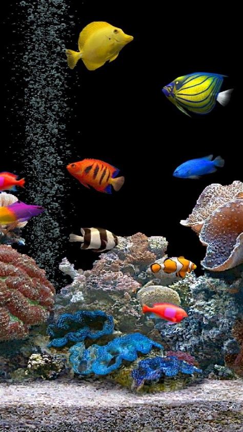 水族館 - アクアリウム | iPhone11,スマホ壁紙/待受画像ギャラリー | Live fish wallpaper, Aquarium ...