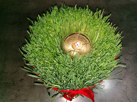 Free picture: cereal, ceremony, christian, christmas, orthodox, religion, plant, leaf