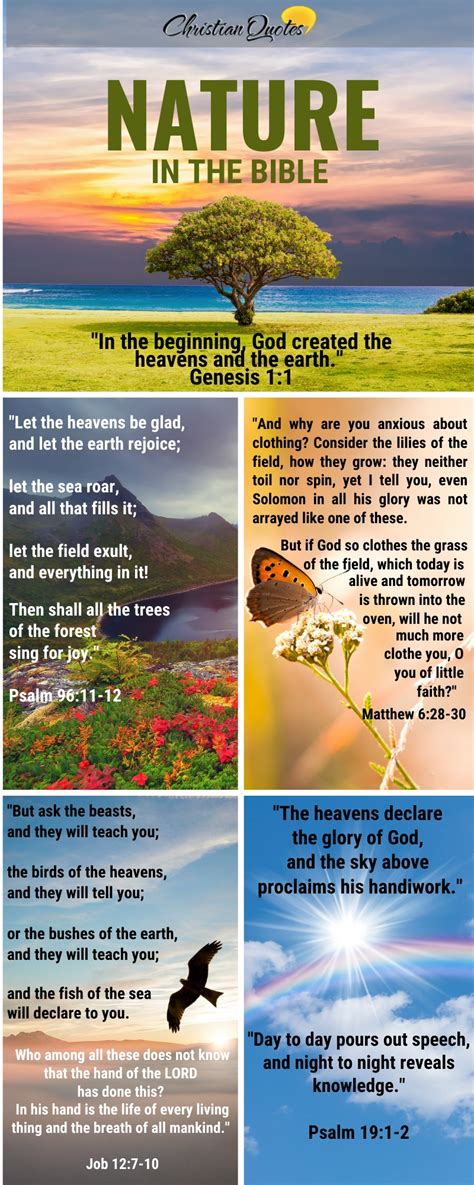 Top 16 Bible Verses About Nature | ChristianQuotes.info