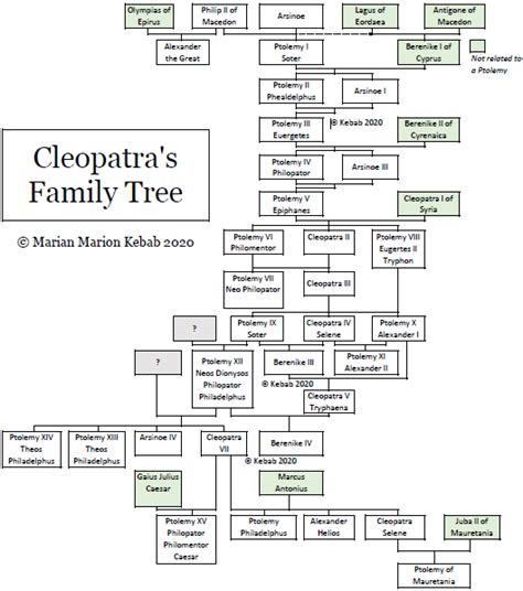 Cleopatra's Family Tree