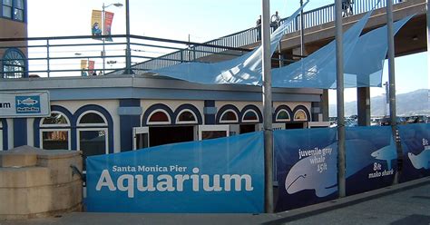 Santa Mónica Pier Aquarium in Santa Monica, USA | Sygic Travel