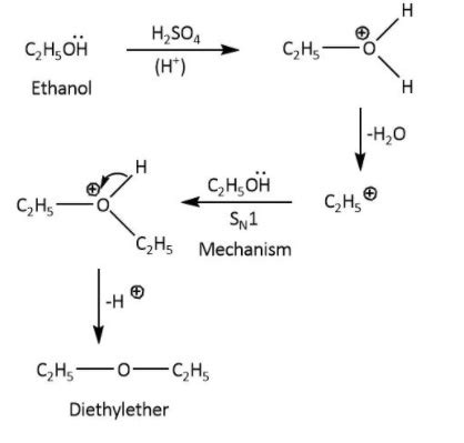 Grignard Reaction Mechanism Diethyl Ether