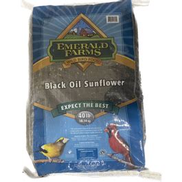 Black Oil Sunflower Bird Seed 40#