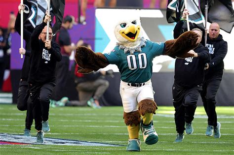 Eagles' Swoop Loses to Buffalo Mascot in List of Best NFL Mascots