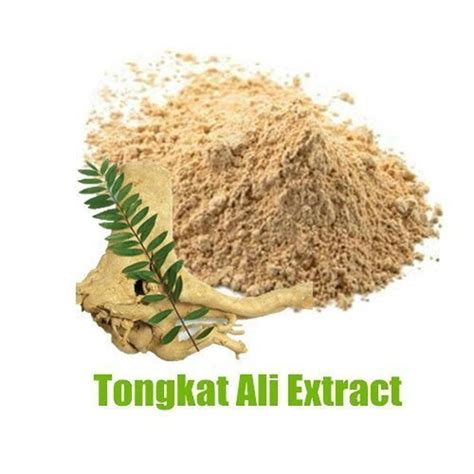 Tongkat Ali Extract Powder at Rs 2350/kg | Tongkat Ali Extract in ...