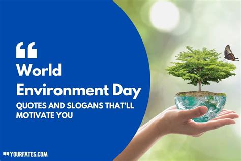 70 World Environment Day Quotes And Slogans - 2024