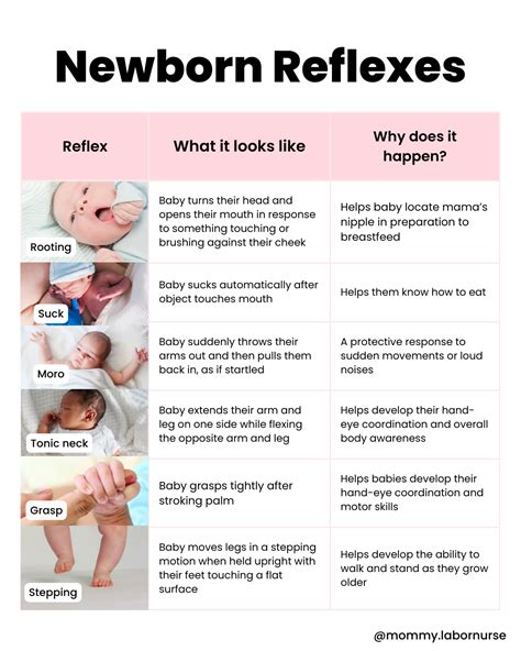 Learn All About Newborn Reflexes in 2024 | Newborn baby tips, Newborn ...