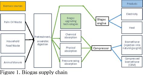 Figure 1 from Optimal Biomethane Injection into Natural Gas Grid ...