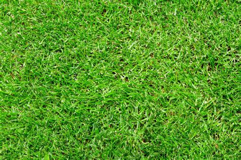 green grass background texture | Nature Stock Photos ~ Creative Market