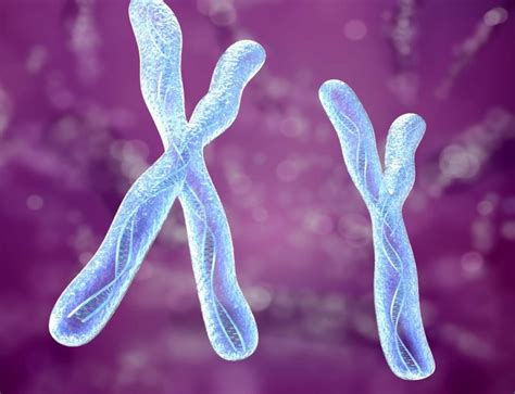 Do changes in the structure of chromosomes affect health and development? | Vinmec