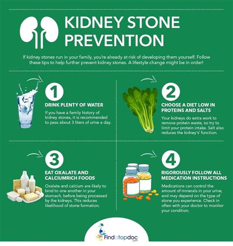 Kidney Stones: Symptoms, Causes, Treatment, and Diagnosis | FindATopDoc
