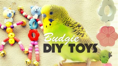 Homemade Parakeet Toys To Make | Wow Blog