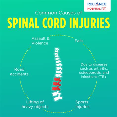 Paraplegia Causes