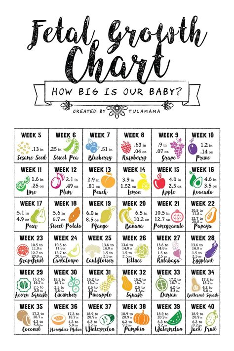 How Big Is My Baby? Using A Fetal Growth Chart To Track Your Baby Size By Week | Fetal growth ...