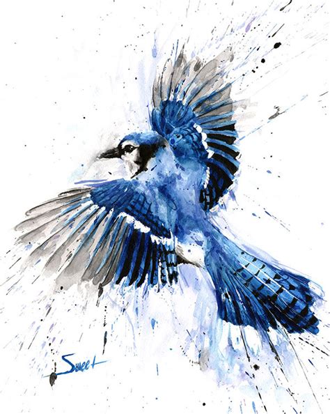 Blue Jay Bird Drawing at GetDrawings | Free download